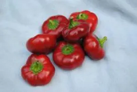 Ashe County Pimento Pepper